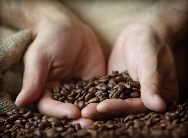 Chicchi di caffé