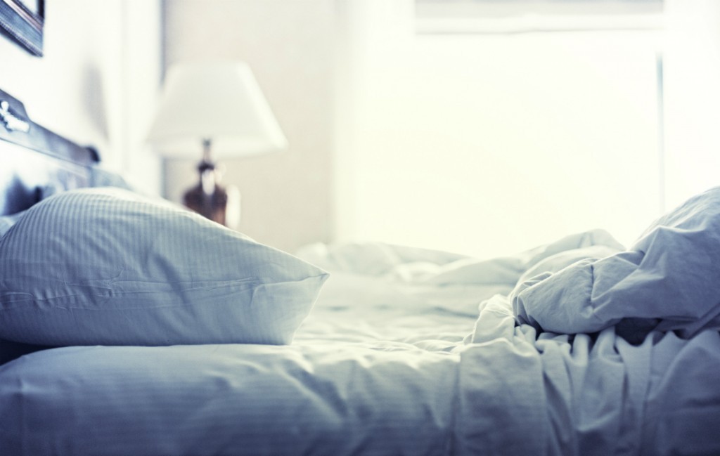 bed-bugs-1024x649